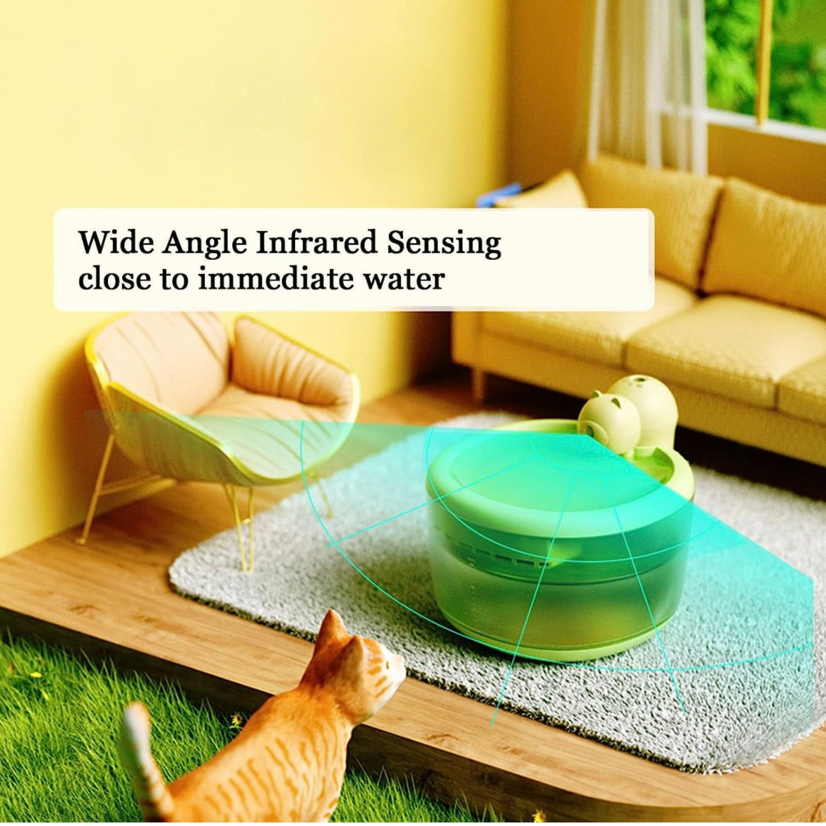 Pet Water Fountain