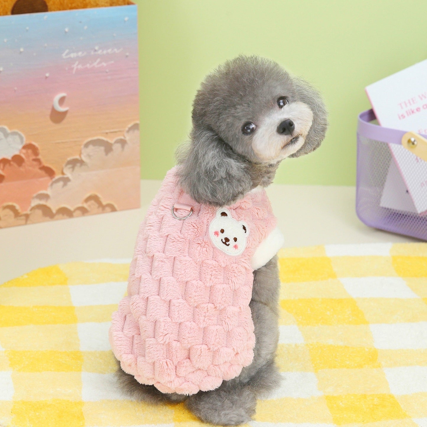 Clothes For Cat