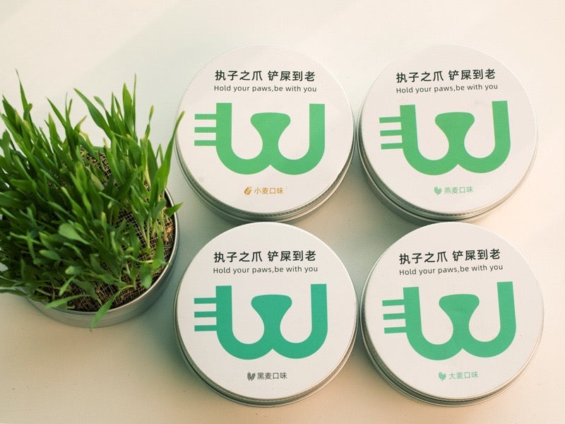 Cat Grass