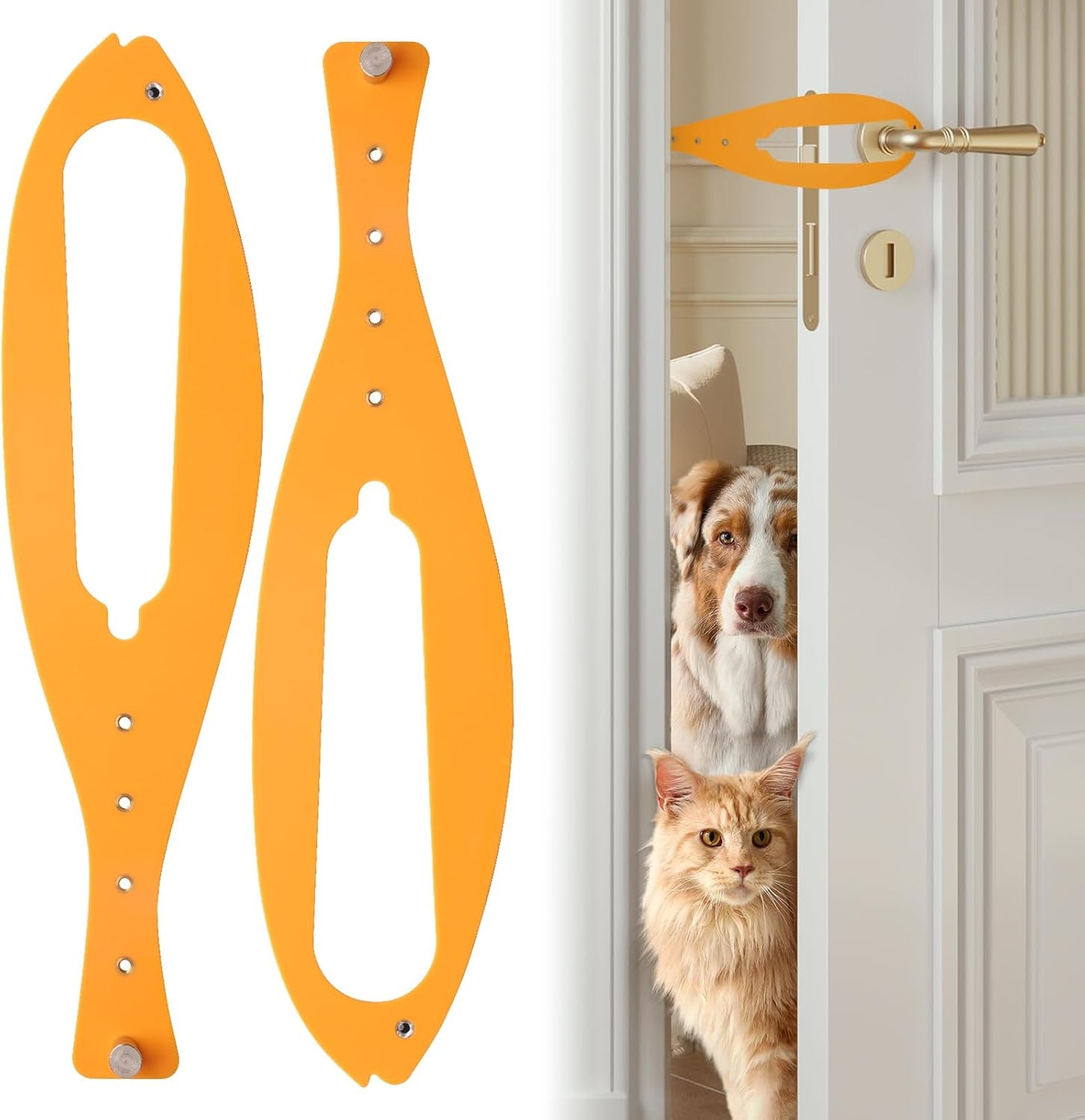 Cat Door Latch