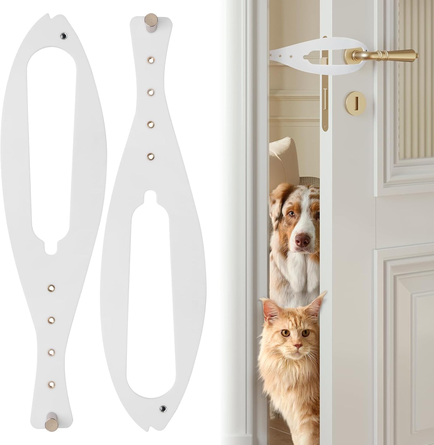 Cat Door Latch