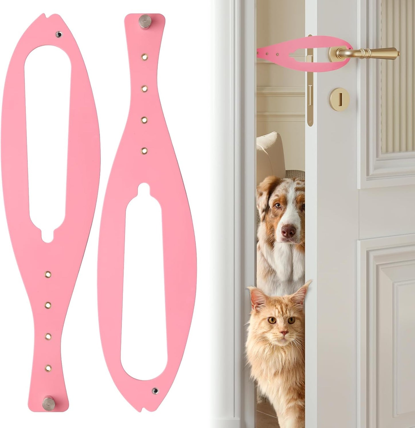 Cat Door Latch
