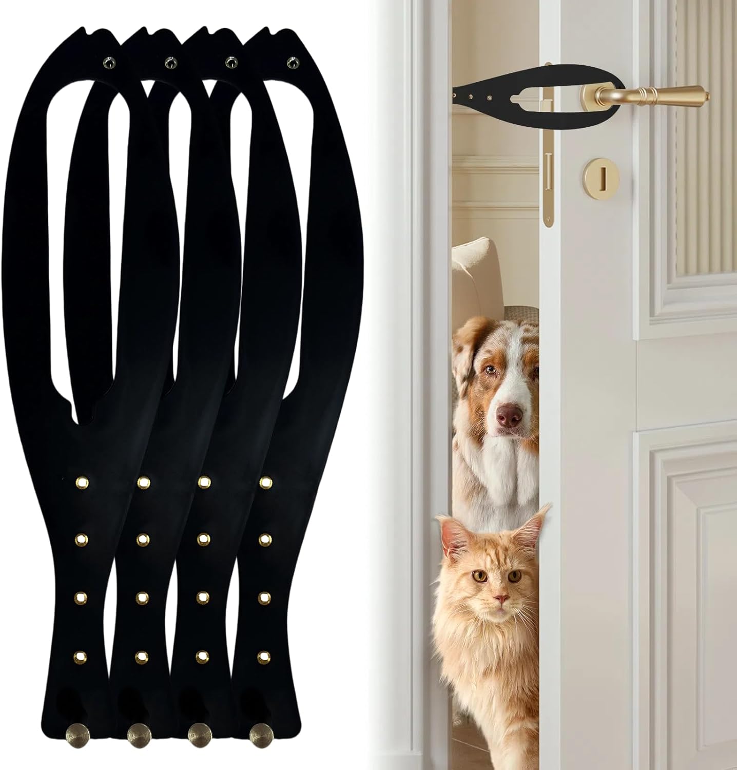 Cat Door Latch
