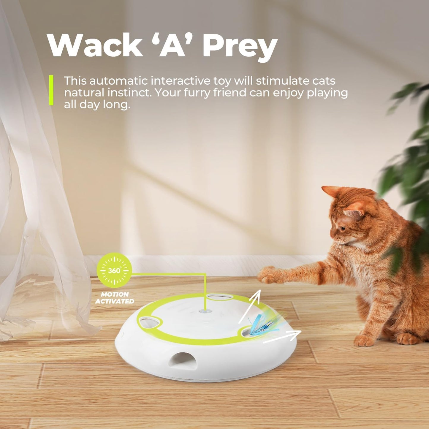 nteractive Cat Toys with Automatic Feather Mice & No Touch Sensor Required