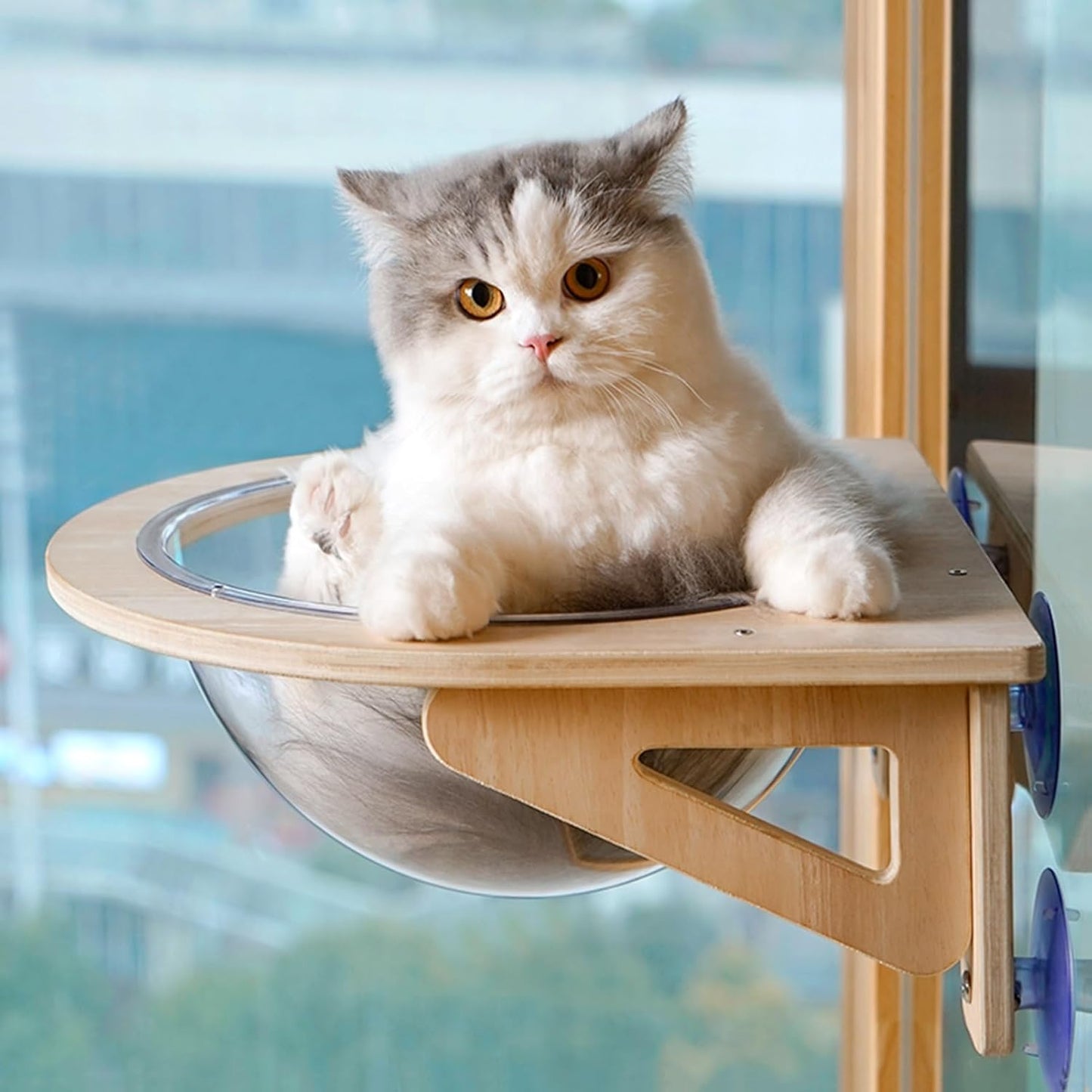 Acrylic Cat Window Perch for Indoor Cats, 20kg/30kg Load Bearing Cat Hammock