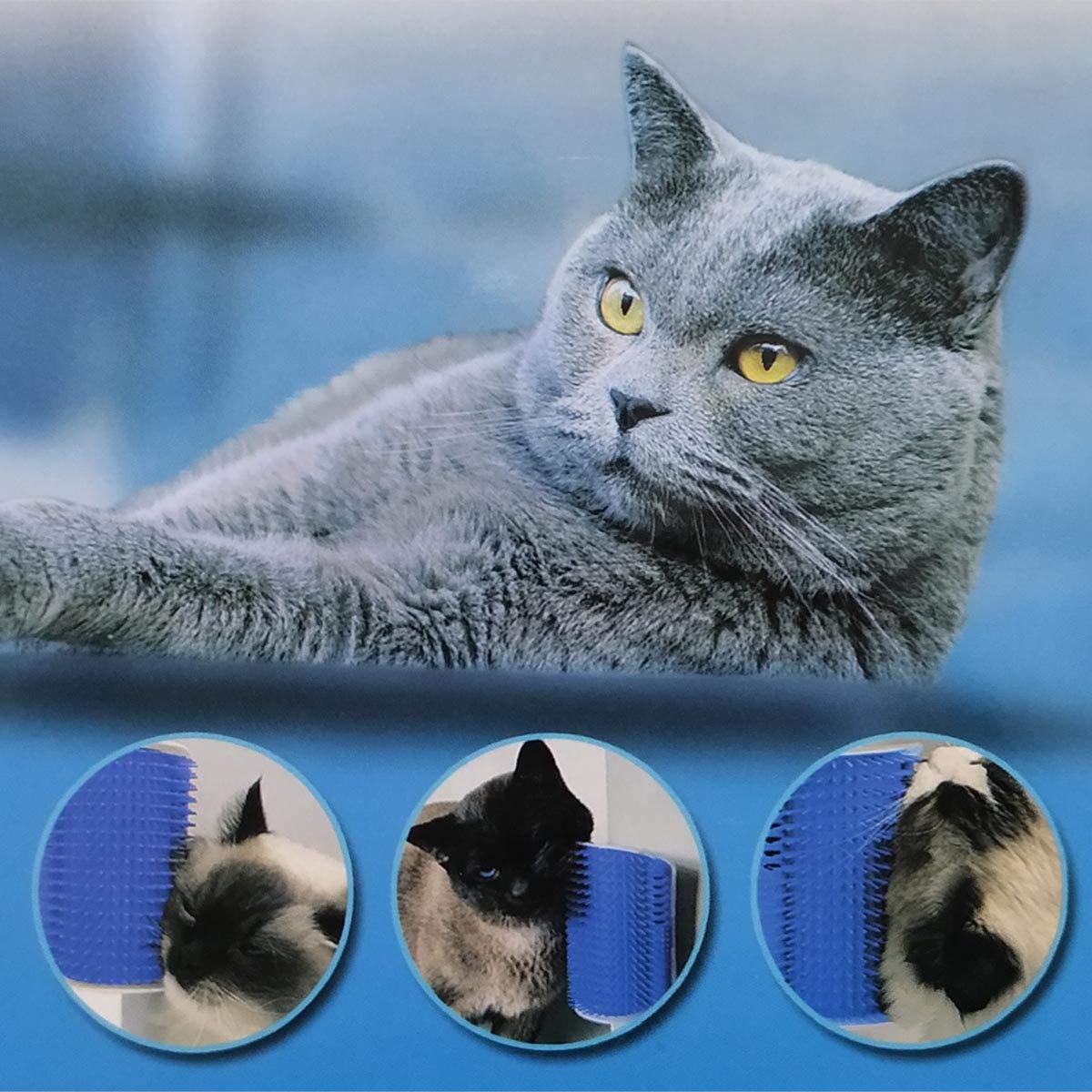 Softer Self Groomer Wall Corner Massage Comb