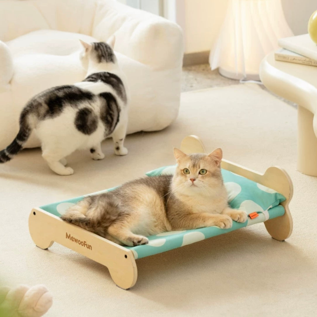 Cat bed