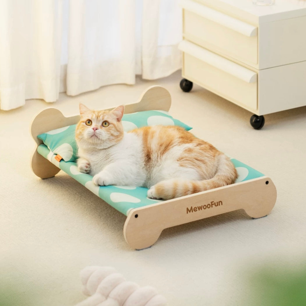 Cat bed
