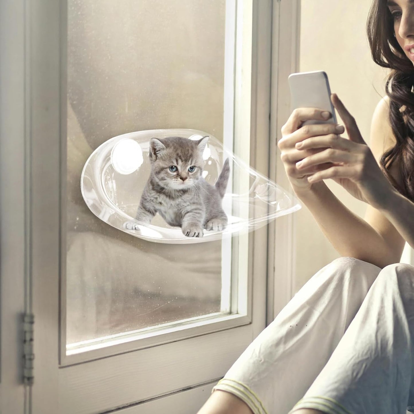 Cat Window Perch