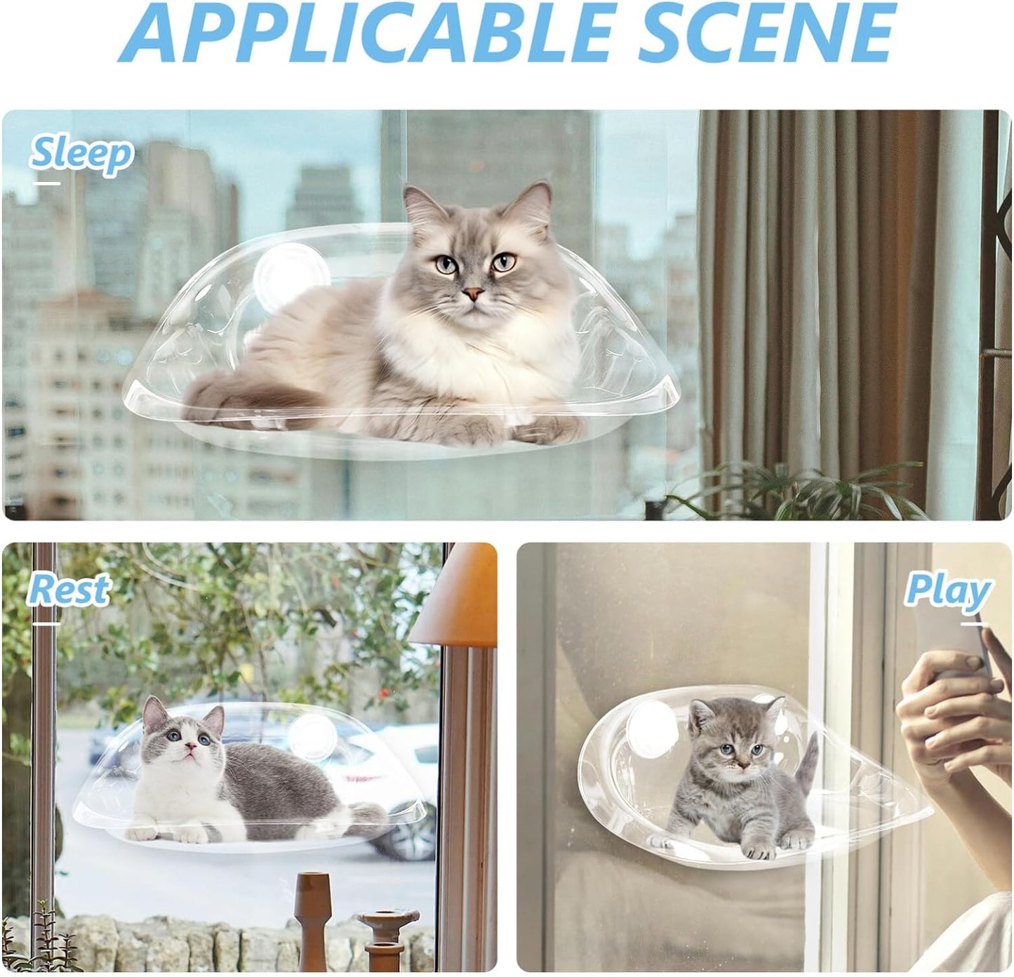 Cat Window Perch