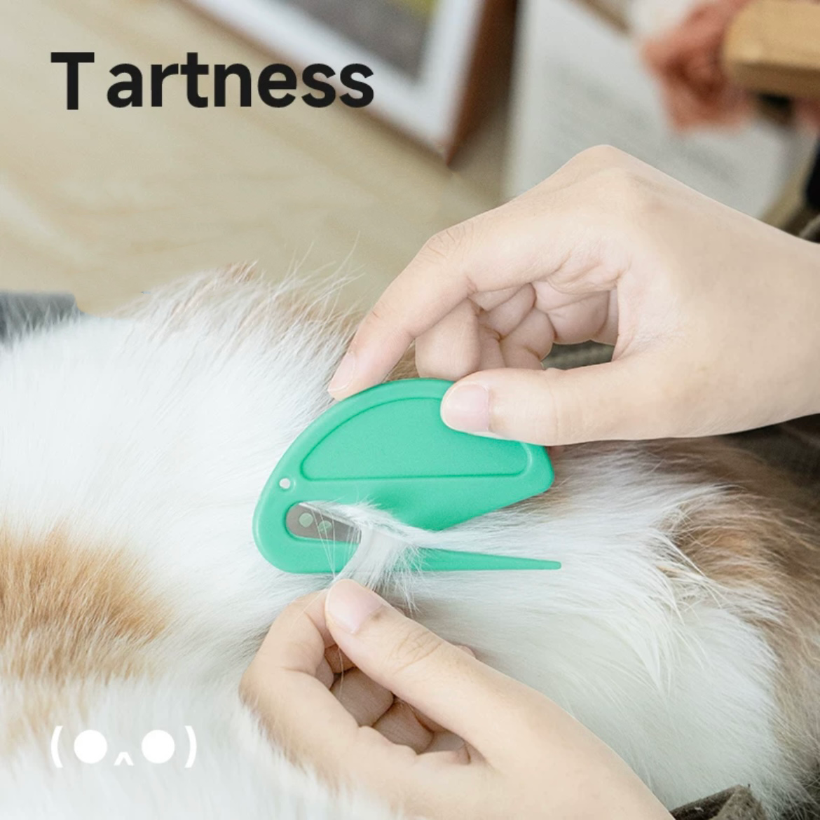 2pcs Knotting Comb Pet Grooming Tool