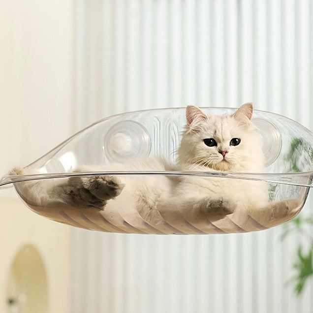 Cat Window Perch