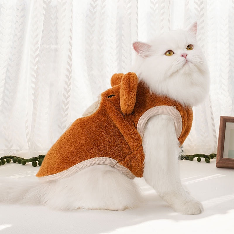 Clothes For Cat