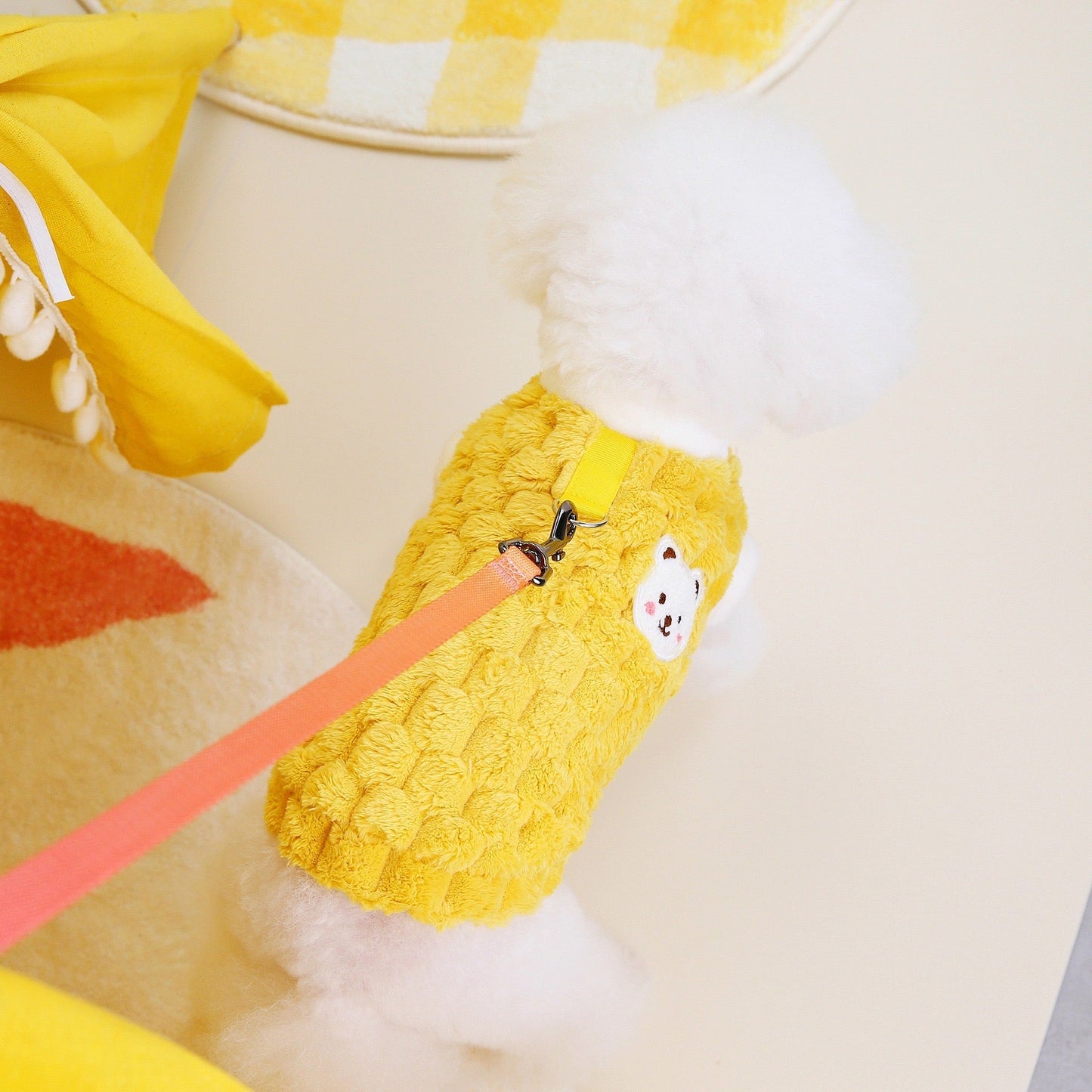 Clothes For Cat