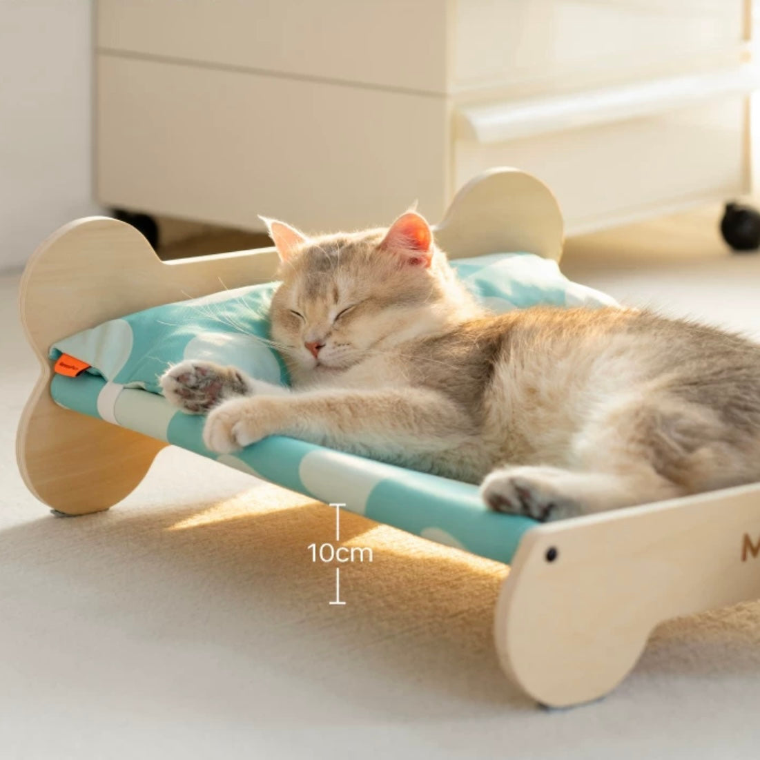 Cat bed