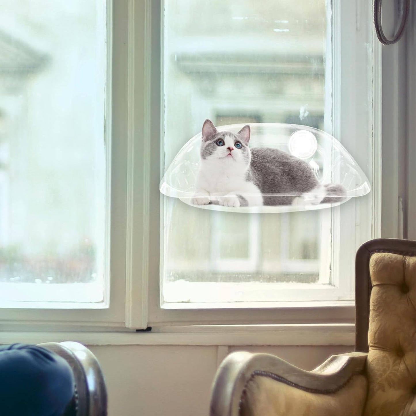 Cat Window Perch