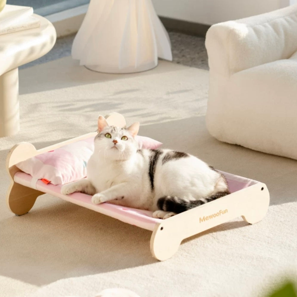Cat bed