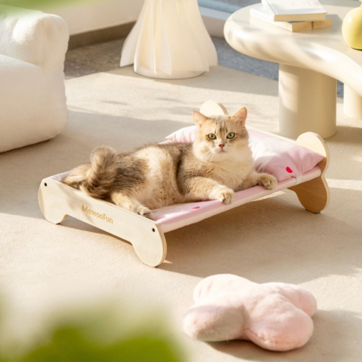 Cat bed