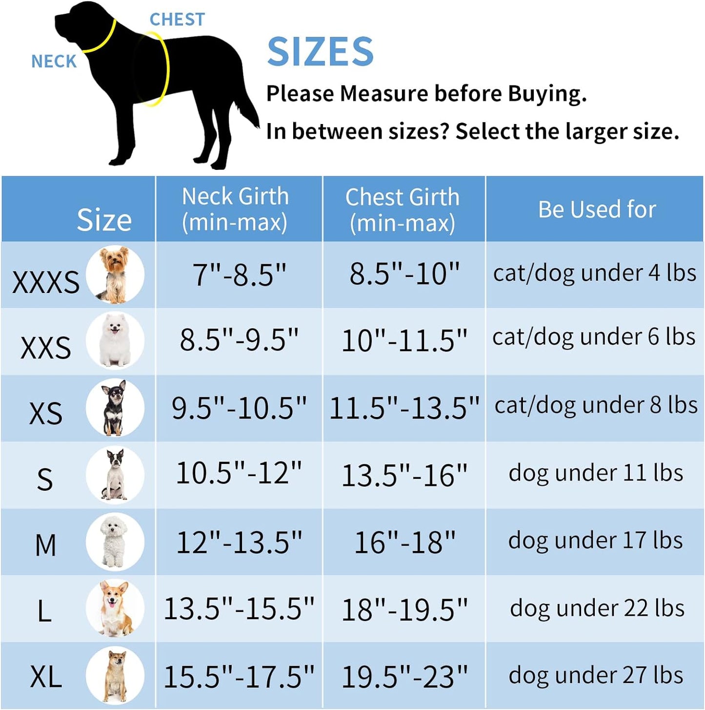 Pet Harness and Leash Set