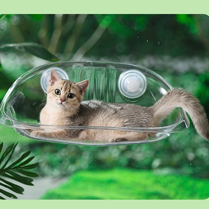 Cat Window Perch