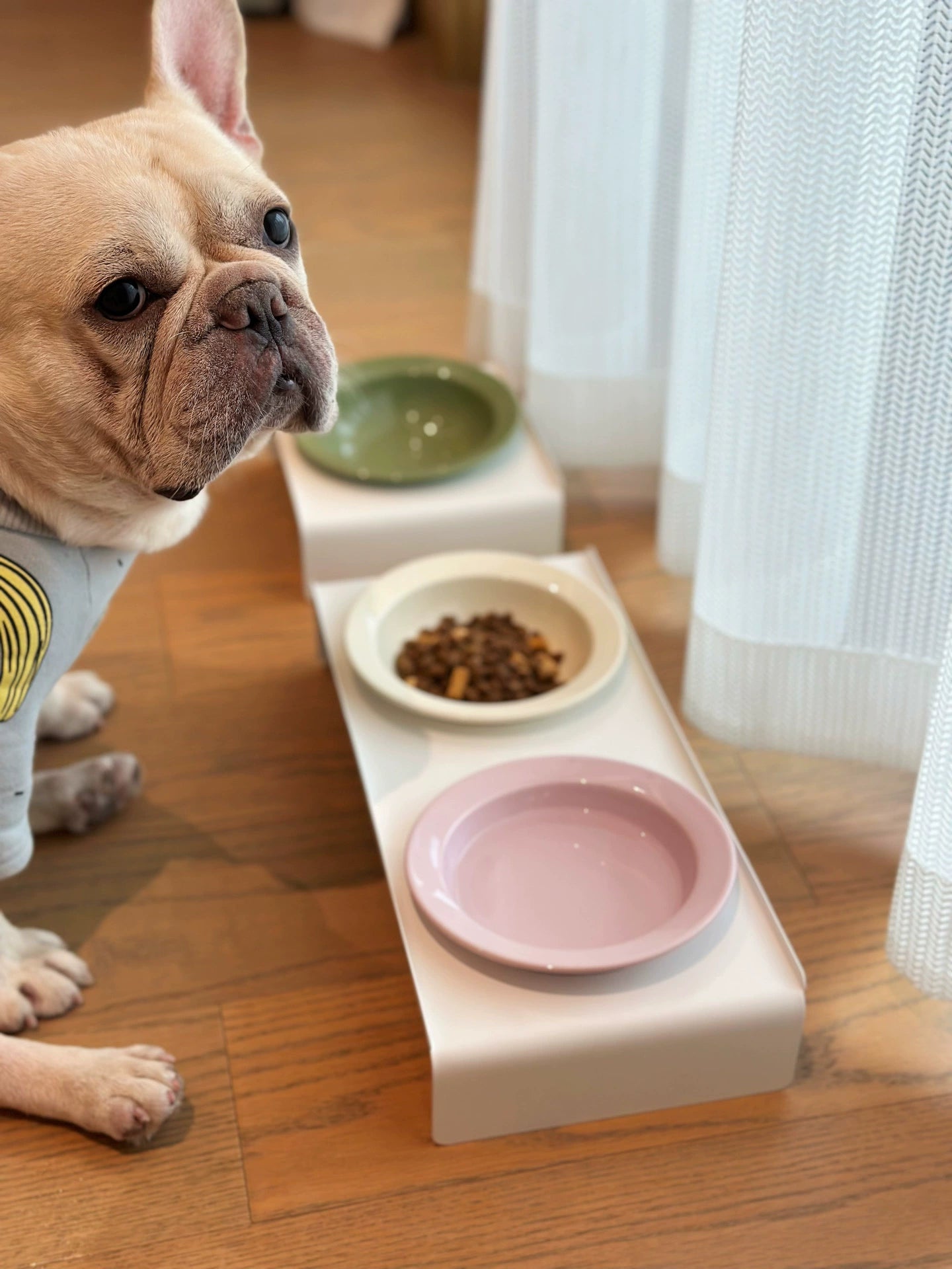 Ceramic pet bowl